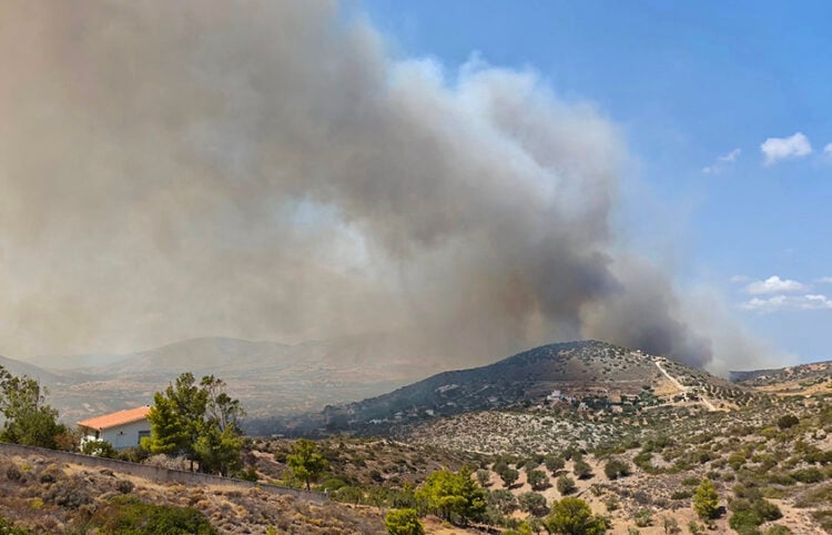 (Φωτ.: facebook / Πυροπροστασία Δασών Λαυρεωτικής)
