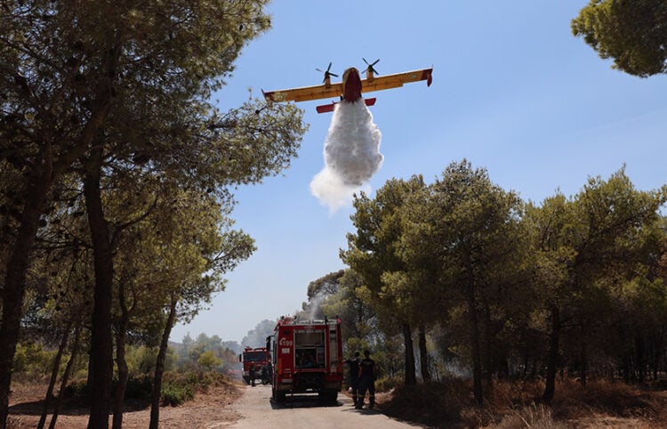 (Φωτ.: EUROKINISSI / Γιάννης Παναγόπουλος)