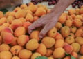 Προϊόντα φυσικής ή βιολογικής καλλιέργειας στη Δημοτική αγορά Κυψέλης (φωτ.: EUROKINISSI / Αργυρώ Αναστασίου)
