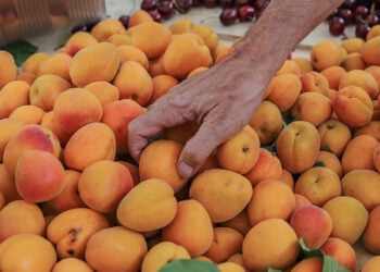 Προϊόντα φυσικής ή βιολογικής καλλιέργειας στη Δημοτική αγορά Κυψέλης (φωτ.: EUROKINISSI / Αργυρώ Αναστασίου)