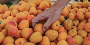Προϊόντα φυσικής ή βιολογικής καλλιέργειας στη Δημοτική αγορά Κυψέλης (φωτ.: EUROKINISSI / Αργυρώ Αναστασίου)
