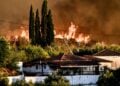 Οι φλόγες κατακαίνε δάσος πάνω από το χωριό Χελιδόνι στην αρχαία Ολυμπία (φωτ.: EUROKINISSI/IlieaLive.gr/Γιάννης Σπυρούνης)