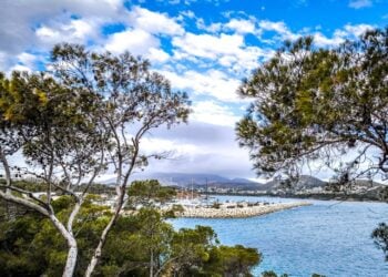 (Φωτ.: EUROKINISSI/Γιώργος Κονταρίνης)