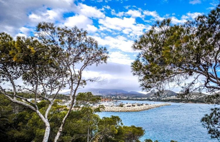 (Φωτ.: EUROKINISSI/Γιώργος Κονταρίνης)