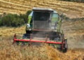 (Φωτ. αρχείου:  EUROKINISSI / Αντώνης Νικολόπουλος)