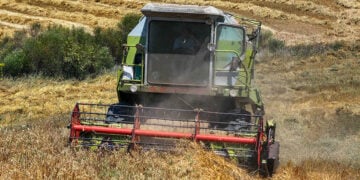 (Φωτ. αρχείου:  EUROKINISSI / Αντώνης Νικολόπουλος)