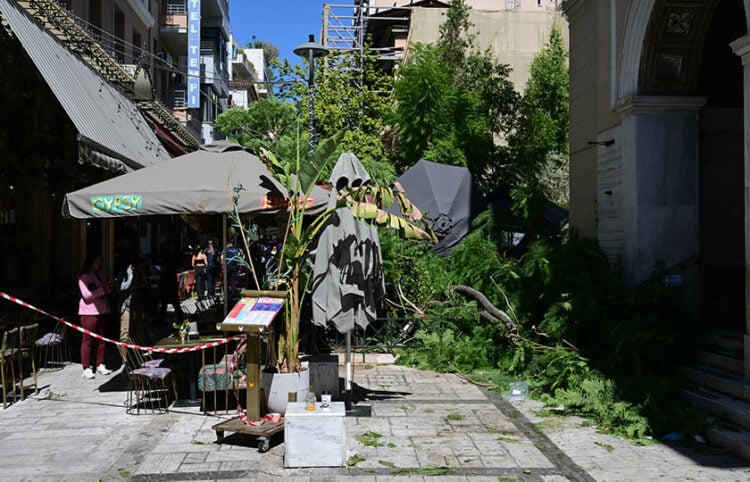 (Φωτ.: EUROKINISSI / Τατιάνα Μπόλαρη)