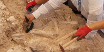 Ειδικοί ανασκάπτουν απολιθώματα που ανακαλύφθηκαν κοντά στο φράγμα Γιαμούλα, στην Καισάρεια, 27 Ιουνίου 2025 (φωτ.: Anadolu)