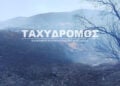 Καμένη έκταση στους Αγίους Θεοδώρους Αλμυρού (πηγή: taxydromos.gr)