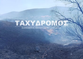 Καμένη έκταση στους Αγίους Θεοδώρους Αλμυρού (πηγή: taxydromos.gr)