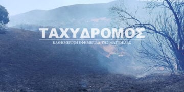 Καμένη έκταση στους Αγίους Θεοδώρους Αλμυρού (πηγή: taxydromos.gr)