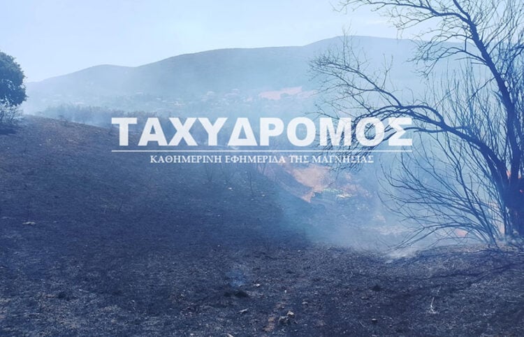 Καμένη έκταση στους Αγίους Θεοδώρους Αλμυρού (πηγή: taxydromos.gr)