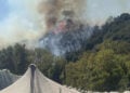 Καπνός και φλόγες από τη φωτιά στο Μυρτόφυτο (φωτ.: Facebook / ENA Channel)