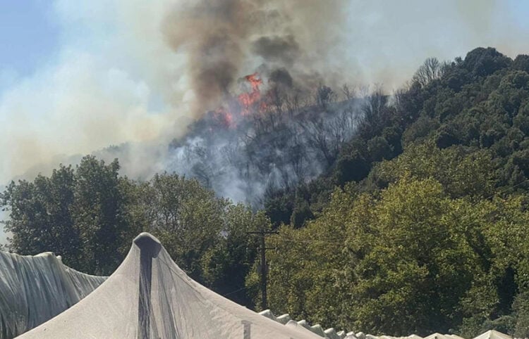 Καπνός και φλόγες από τη φωτιά στο Μυρτόφυτο (φωτ.: Facebook / ENA Channel)