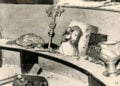 Οι καταστροφές στο εσωτερικό του Ιερού Ναού του Αγίου Κωνσταντίνου από το πογκρόμ του 1955 (πηγή: Ένωσις Ομογενών εκ Κωνσταντινουπόλεως / the-hellenic-mosaic.gr)