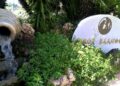 (Πηγή: alphafreepress.gr)