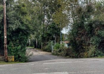 Άποψη του κάμπινγκ στη Φοινικούντα Μεσσηνίας (φωτ.: Χρήστος Στρατουλάκος/EUROKINISSI)