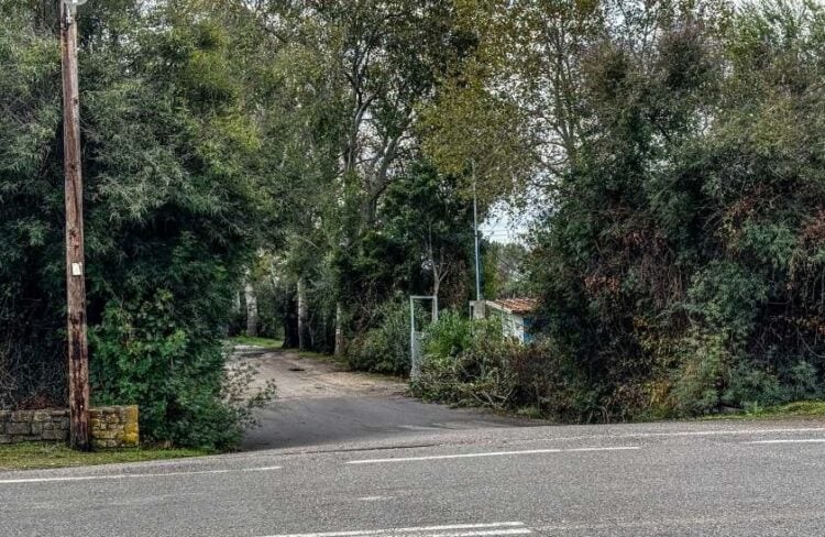Άποψη του κάμπινγκ στη Φοινικούντα Μεσσηνίας (φωτ.: Χρήστος Στρατουλάκος/EUROKINISSI)