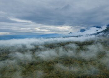(Φωτ.: EUROKINISSI-ΜΟΤΙΟΝΤΕΑΜ / Βασίλης Βερβερίδης)