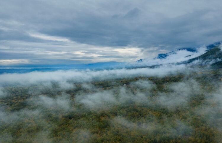 (Φωτ.: EUROKINISSI-ΜΟΤΙΟΝΤΕΑΜ / Βασίλης Βερβερίδης)