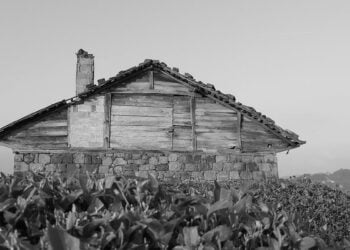 Εικόνα από το Ζησινό (πηγή: facebook.com/bolumlucom/photos)