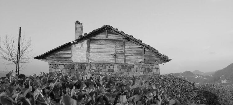 Εικόνα από το Ζησινό (πηγή: facebook.com/bolumlucom/photos)