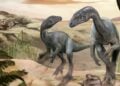 Απεικόνιση του Huayracursor jaguensis (φωτ.: conicet.gov.ar/Jorge Blanco)