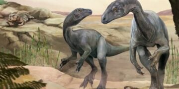 Απεικόνιση του Huayracursor jaguensis (φωτ.: conicet.gov.ar/Jorge Blanco)