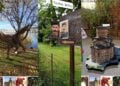 Στιγμιότυπα από την εφαρμογή (φωτ.: Σάκης Ευαγγέλου)