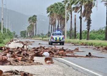 Περιπολικό περνά από δρόμο γεμάτο κλαδιά και φύλλα στο Κίνγκστον της Τζαμάικα, μετά το πέρασμα του κυκλώνα Melissa (φωτ.: EPA/Rudolph Brown)