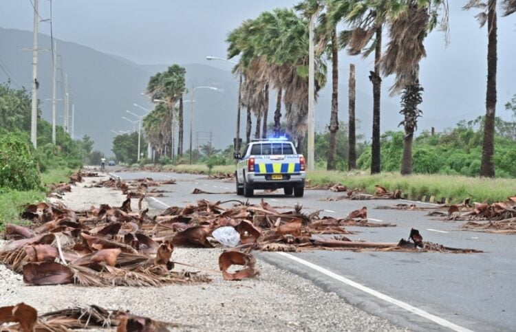 Περιπολικό περνά από δρόμο γεμάτο κλαδιά και φύλλα στο Κίνγκστον της Τζαμάικα, μετά το πέρασμα του κυκλώνα Melissa (φωτ.: EPA/Rudolph Brown)