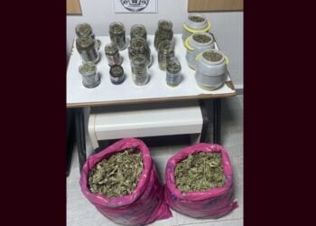 Οι ποσότητες κάνναβης που κατασχέθηκαν στην Πέλλα (φωτ.: Γενική Περιφερειακή Αστυνομική Διεύθυνση Κεντρικής Μακεδονίας)