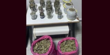 Οι ποσότητες κάνναβης που κατασχέθηκαν στην Πέλλα (φωτ.: Γενική Περιφερειακή Αστυνομική Διεύθυνση Κεντρικής Μακεδονίας)