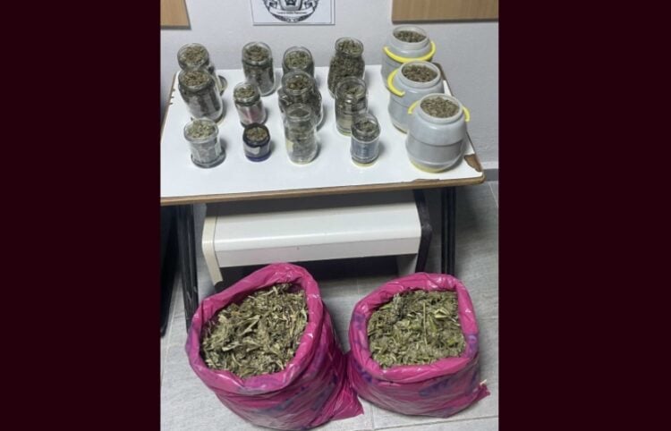 Οι ποσότητες κάνναβης που κατασχέθηκαν στην Πέλλα (φωτ.: Γενική Περιφερειακή Αστυνομική Διεύθυνση Κεντρικής Μακεδονίας)