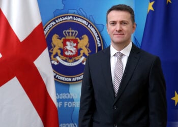 Ο Βλαντίμιρ Κωνσταντινίδης με φόντο το έμβλημα του υπουργείου Εξωτερικών της Γεωργίας (πηγή: mfa.gov.ge)