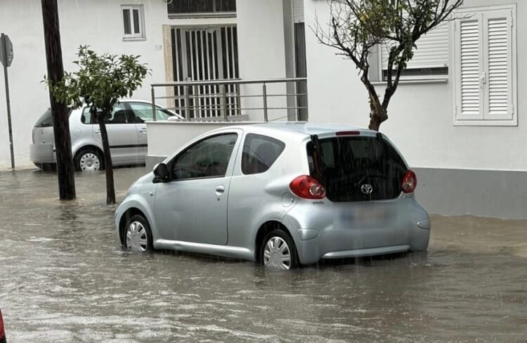 (Πηγή: messolonghinews.gr)
