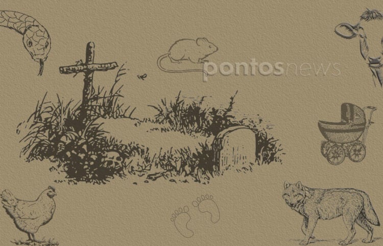 (Εικ.: Χριστίνα Κωνσταντάκη)