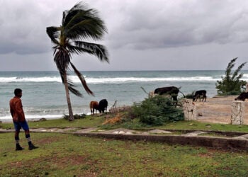Άνεμοι του τυφώνα Melissa στο Σαντιάγο ντε Κούβα, 28 Οκτωβρίου 2025 (φωτ.:  EPA / Ernesto Mastrascusa)