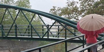 (Φωτ.: Σεβίνα Δαριώτου/ EUROKINISSI)