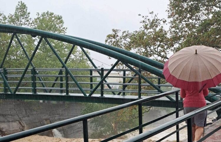 (Φωτ.: Σεβίνα Δαριώτου/ EUROKINISSI)