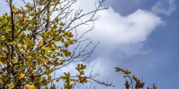 (Γιώργος Κονταρίνης/ EUROKINISSI)