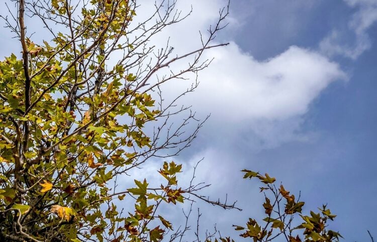 (Γιώργος Κονταρίνης/ EUROKINISSI)