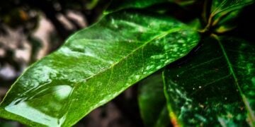 (Φωτ.: Γιώργος Κονταρίνης/EUROKINISSI)