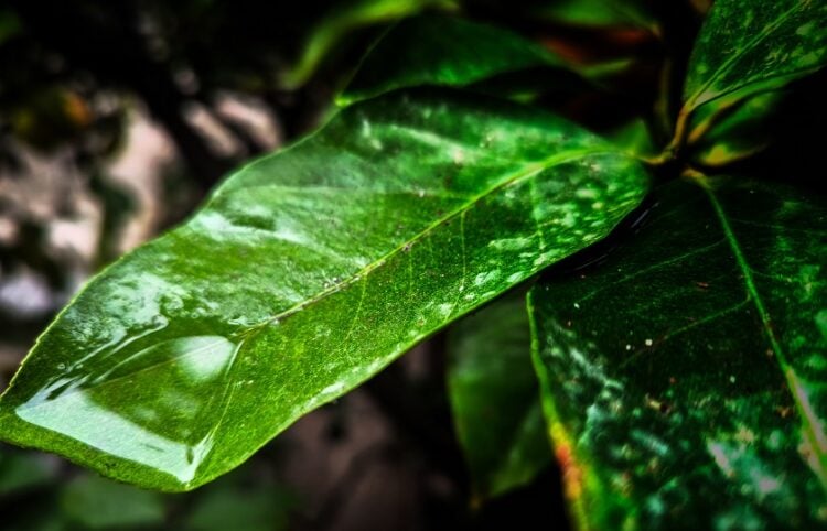 (Φωτ.: Γιώργος Κονταρίνης/EUROKINISSI)