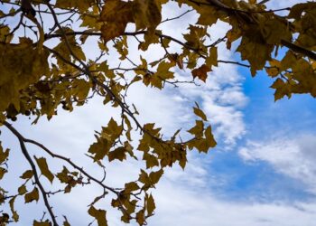 (Φωτ.: EUROKINISSI/Γιώργος Κονταρίνης)