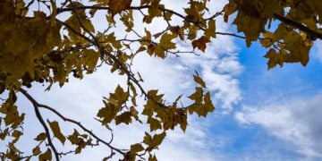 (Φωτ.: EUROKINISSI/Γιώργος Κονταρίνης)