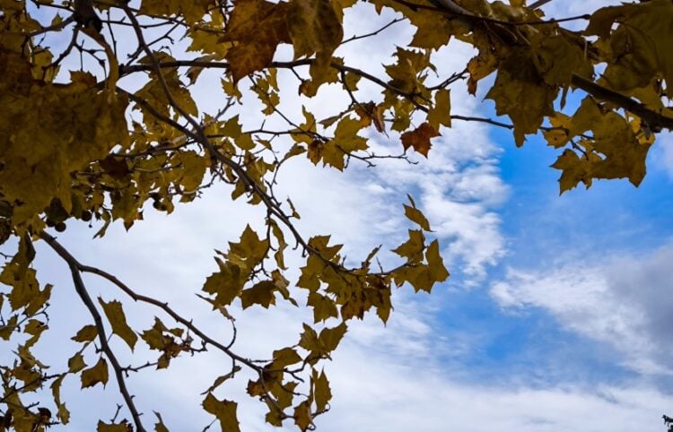 (Φωτ.: EUROKINISSI/Γιώργος Κονταρίνης)