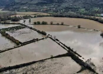 (Πηγή: epiruspost.gr)