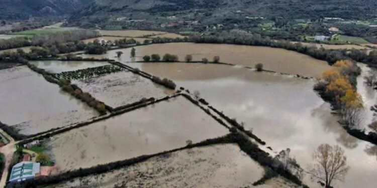 (Πηγή: epiruspost.gr)