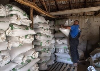 Αγρότης στα Σκόπια τοποθετεί σακιά με ρύζι στην αποθήκη του (φωτ. αρχείου: EPA/Georgi Licovski)